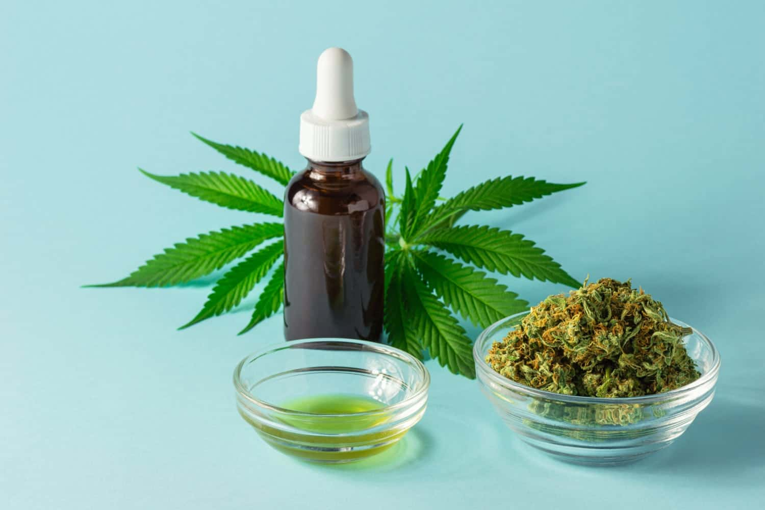 Understanding CBD Hemp Flower: Its Features and Distinctions from Other CBD Products